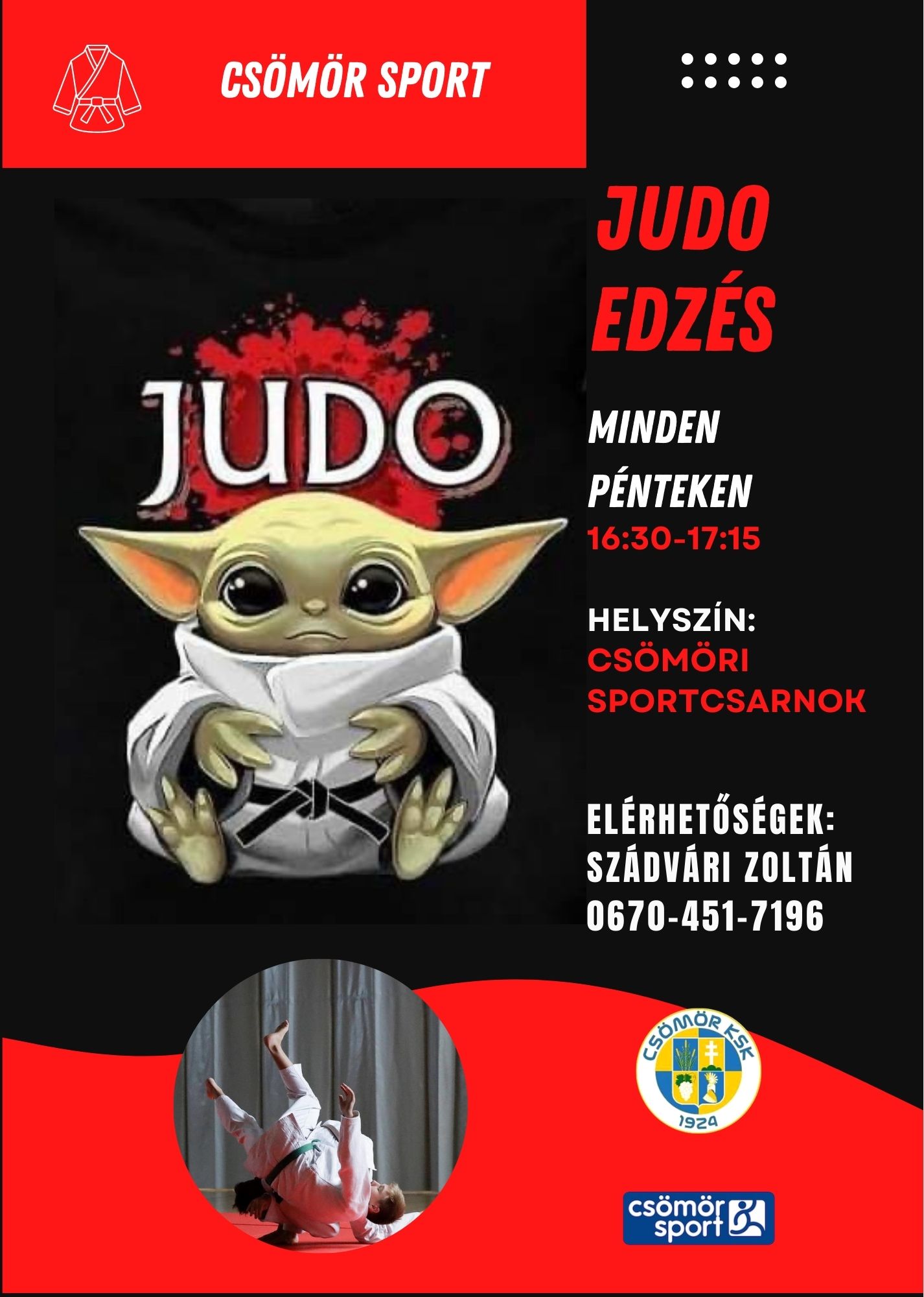 judo plakat